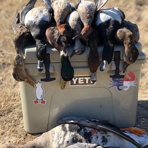 Meet your Posher, Cody